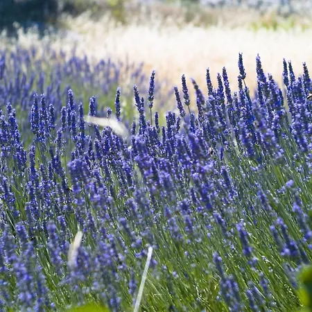 In With Sea View, Terrace, Air Conditioning, Wi-fi 아파트 *