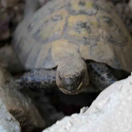 In With Sea View, Terrace, Air Conditioning, Wi-fi 아파트